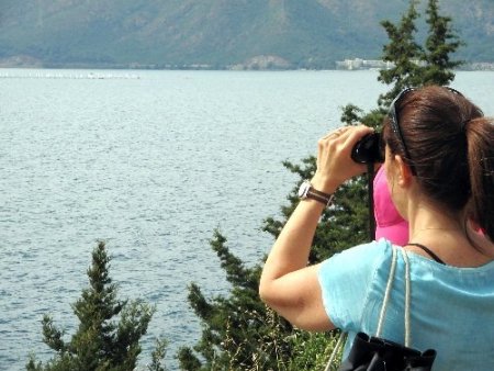 Marmaris’te yelken yarışlarına rekor katılım