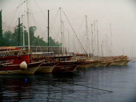 'Mavi Kart' Projesi İlk Kez Muğla’da Uygulanmaya Başlıyor
