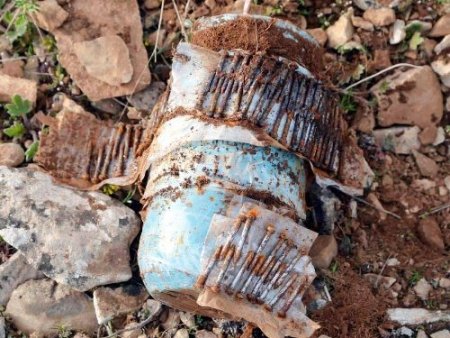 Mayın tuzağını jandarma bozdu