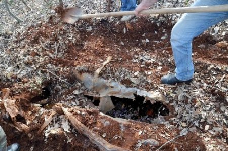 Mayın tuzağını jandarma bozdu
