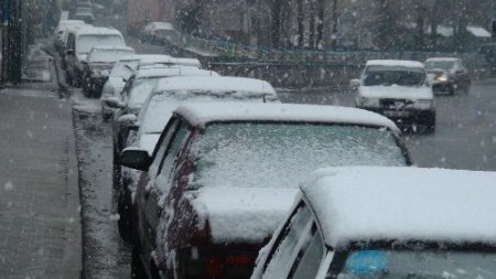 Mayıs ayına sayılı günler kala Bitlis'e lapa lapa kar yağdı