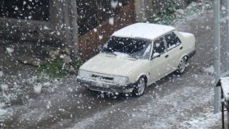 Mayıs ayına sayılı günler kala Bitlis'e lapa lapa kar yağdı