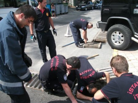 Mazgalda Doğum Yapan Anne Kedi Ve Yavrularını İtfaiye Kurtardı