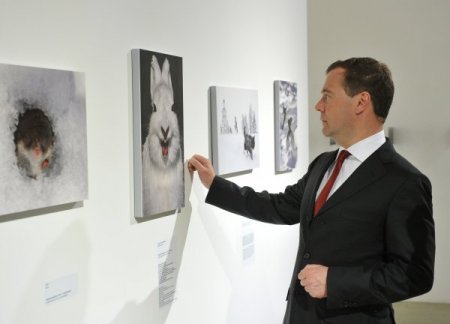 Medvedev, “Anne kalbi” fotoğrafını en iyi sanat eseri seçti