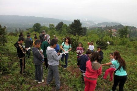 Mektup arkadaşı yaptıkları öğrencileri fidan dikiminde biraraya getirdiler