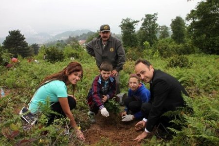 Mektup arkadaşı yaptıkları öğrencileri fidan dikiminde biraraya getirdiler