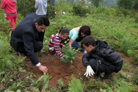 Mektup arkadaşı yaptıkları öğrencileri fidan dikiminde biraraya getirdiler