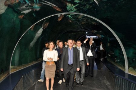 Melih Gökçek, yeni kuracağı park için İstanbul Akvaryum'u gezdi