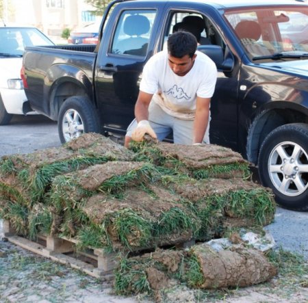 Melikgazi Belediyesi hazır çim kullanarak tasarruf etti