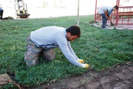 Melikgazi Belediyesi hazır çim kullanarak tasarruf etti