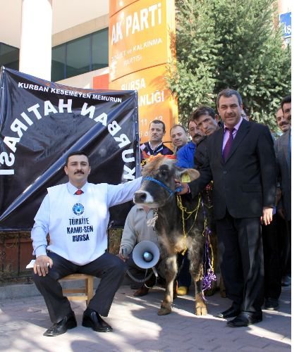 Memurlar, Kurbanlık Fiyatlarını 'danalı Eylem'le Protesto Etti