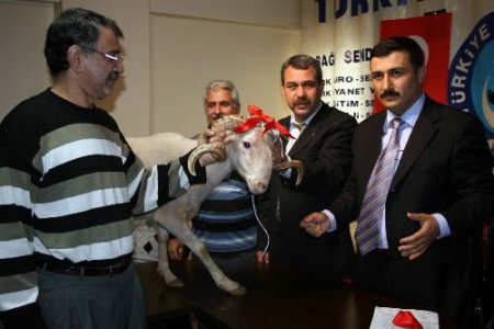 Memurlardan Koyunlu Basın Açıklaması