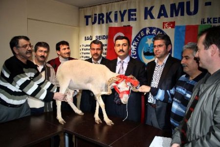 Memurlardan Koyunlu Basın Açıklaması