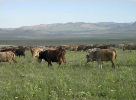 Mera Kanunu Bakanlar Kurulu’nda İmzaya Açıldı