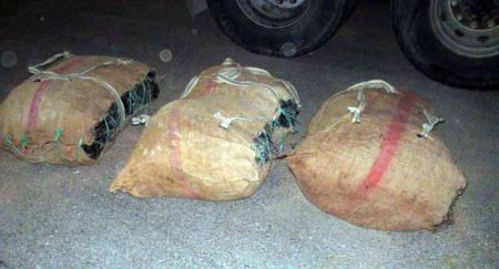 Mercimek yüklü kamyondan 70 kilo kubar esrar çıktı