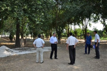 Mergen mesire alanı düzenleniyor