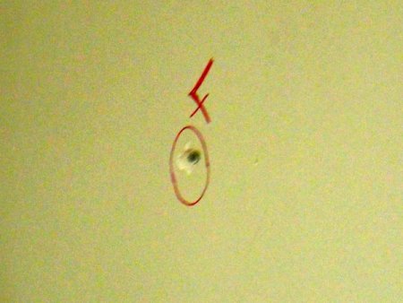 Mermi isabet eden sağlık ocağının hemen yanında okul var