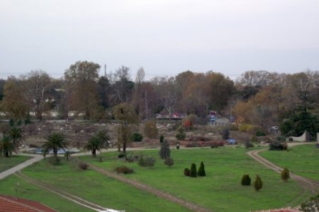 Merosa, eski Arboretum arazisinde geri adım attı