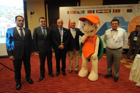 Mersin 2013 Akdeniz Oyunları'nın altından başarıyla kalkar