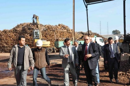 Mersin Bölgesinde Orman Ürünlerine Talep Arttı