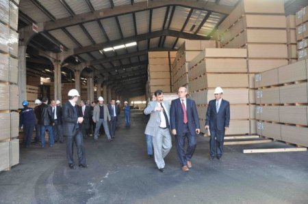 Mersin Bölgesinde Orman Ürünlerine Talep Arttı