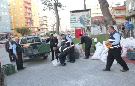 Mersin’de 187 Kilo Kaçak Et Ele Geçirildi