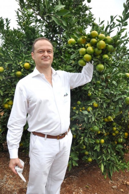Mersin'de 8 yıllık okitsu mandalina ağacından 240 kilogram ürün alındı