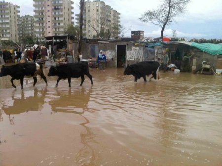 Mersin'de bir çok ev ve işyeri su altında kaldı