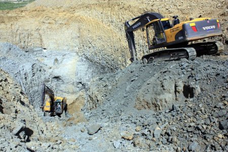 Mersin'de define heyecanı sürüyor