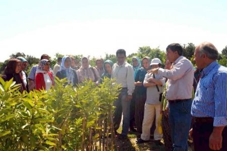 Mersin'de kadın çiftçiler eğitiliyor