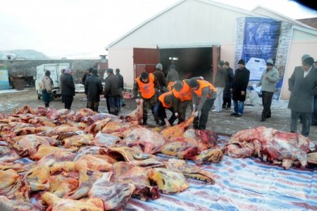 Mersinli işadamları Moğolistan ile gönül köprüsü kurdu