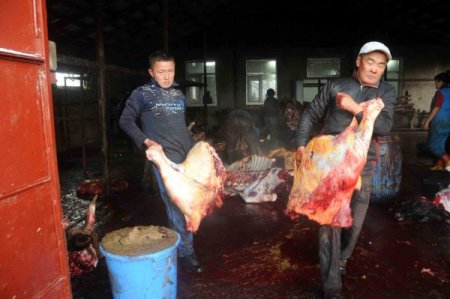 Mersinli işadamları Moğolistan ile gönül köprüsü kurdu