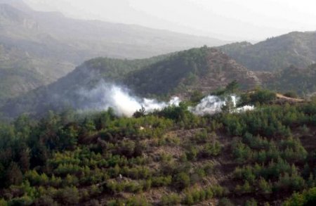 Mersinli Ormancılar Kıbrıs'taki Çamkese Böceklerini Temizledi