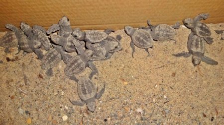 Mesire Yerleri Stresten Uzak Bayram Geçirmek İsteyenleri Bekliyor