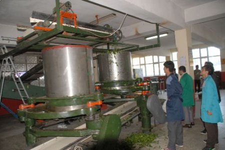 Meslek Lisesinde Kurulan Çay Fabrikası Üretime Başladı