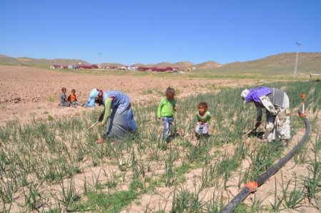 Mevsimlik Tarım İşçileri, Elektrik Sorununun Çözümü İçin Yardım Bekliyor