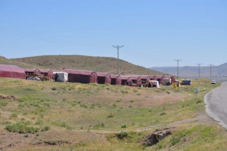 Mevsimlik Tarım İşçileri, Elektrik Sorununun Çözümü İçin Yardım Bekliyor