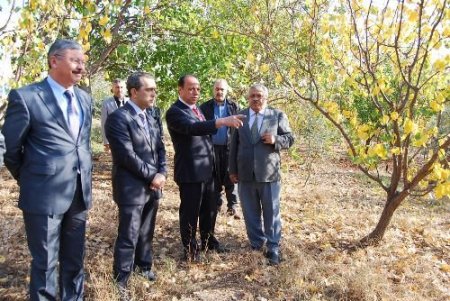 Meyve Ağaçlarından Elde Edilen Gelir Öğrencilere Burs Oluyor