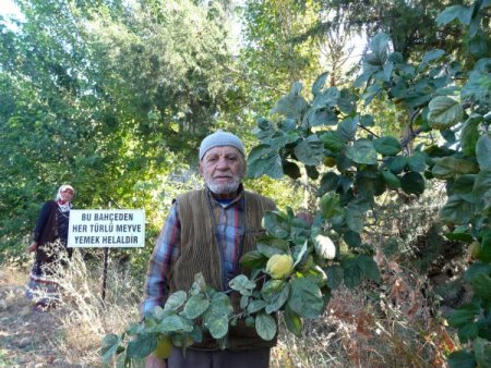 Meyve bahçesini halkın hizmetine açtı