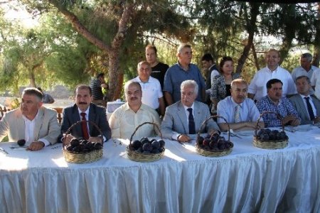 Meyve bayramında 'Adana'nın en güzel eriği' seçildi