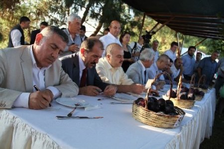 Meyve bayramında 'Adana'nın en güzel eriği' seçildi