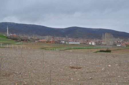 Meyve Üreticiliğine Soyunan Köylüler 400 Bin Fidanı Sulamak İçin Destek Bekliyor