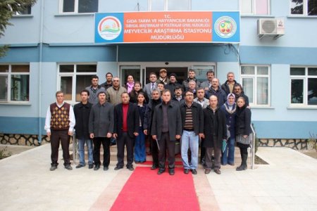 Meyvecilik Araştırma İstasyonu'ndan budama eğitimi