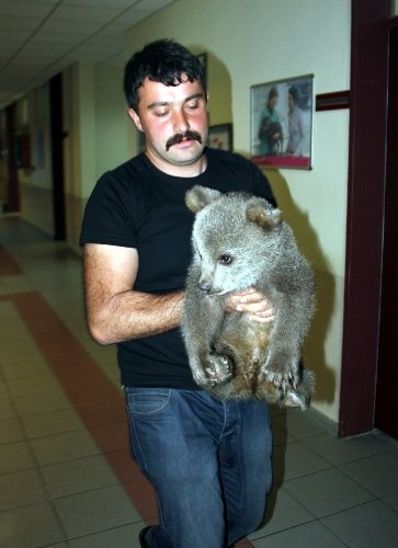 Mezarlıkta donmak üzereyken bulunan yavru ayı sağlık kontrolünden geçti