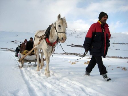 Mezranın Yolu Açılmayınca Hasta Kız, Atlı Kızakla Köyüne Ulaştırıldı