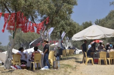 MHP’den Türkçülük ve Bahar Şenliği