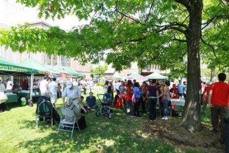 Michigan Türk Amerikan Derneği, 3. Uluslararası Çocuk Festivali düzenledi