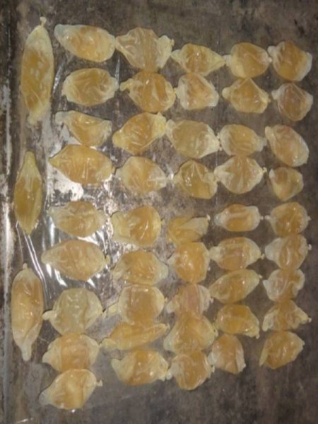 Midesinde 1 kilo 125 gram kokain taşıdı