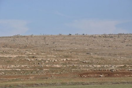 Midyat’ta 6 terörist etkisiz hale getirildi