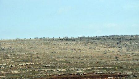 Midyat’ta operasyonlar sona erdi